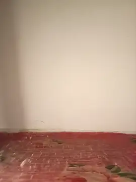 Louna-arabic online show from October 22, 11:32 pm