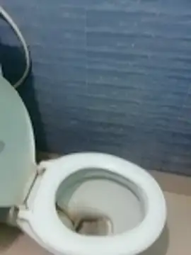 monmohua online show from November 15, 8:54 pm