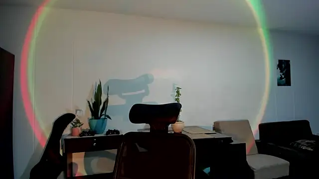 alice coopperx online show from March 17, 8:40 am