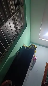 Lavanyaatelugu online show from November 14, 4:07 pm