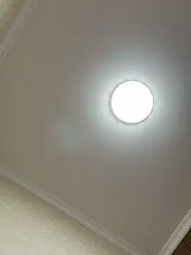 Xinlan-Asia online show from October 14, 10:40 am