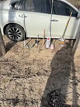 Fengbaby-555 online show from February 3, 6:22 am