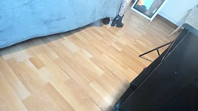 Shantal  G online show from October 30, 7:37 pm