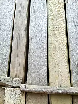 bonnie-00 online show from October 9, 8:40 am