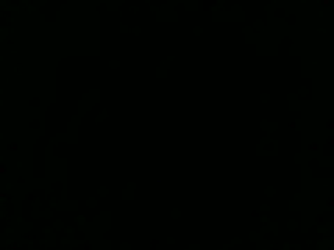 Naughtyy stripgirl online show from October 1, 2:00 pm