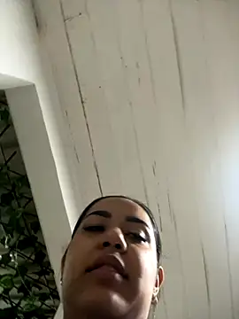 SienaWild online show from December 1, 3:10 am