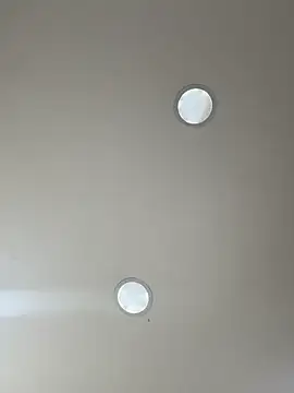 SienaWild online show from November 28, 3:31 am