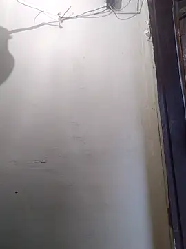 Cachorrinha2025 online show from October 12, 4:31 pm