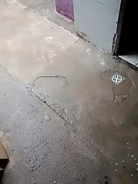 Cachorrinha2025 online show from November 17, 6:52 pm