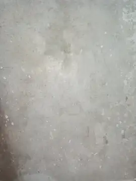 Snapshot of diyasen5445 chatting on September 29, 9:31 pm diyasen5445 online show from September 29, 9:31 pm