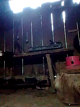 donna-bae online show from October 12, 11:07 pm