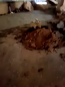 callistra online show from January 13, 6:52 am