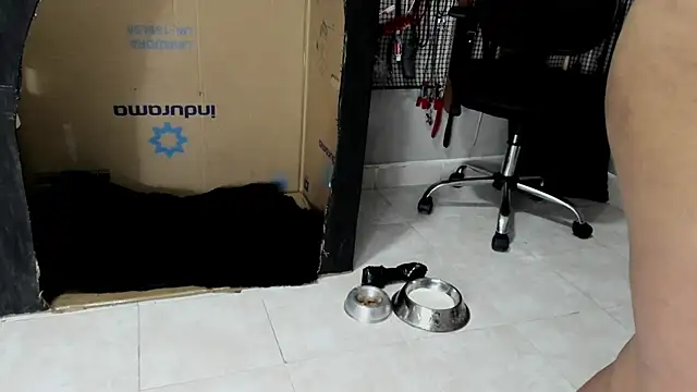 BDSM MEDUZA online show from February 23, 3:29 am