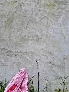 diamond-- online show from March 26, 5:20 am