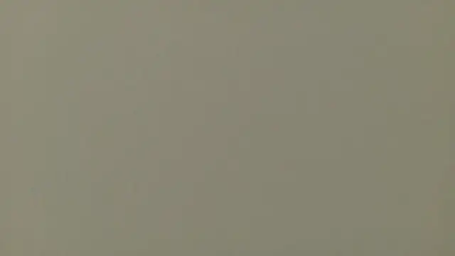 Nallah  online show from March 24, 1:27 pm