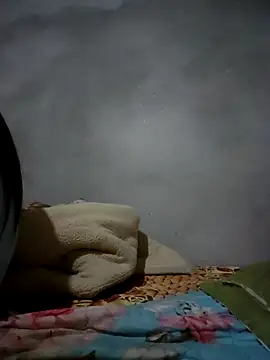 Meoweo 23 online show from November 17, 7:47 pm