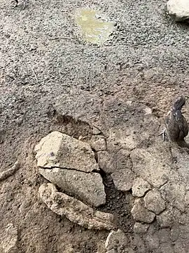 Miubeeeee online show from November 13, 7:18 am