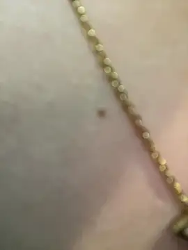 lee ly online show from December 17, 1:48 pm