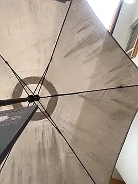 Ada Pink online show from December 4, 5:14 pm