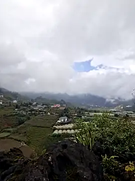 miomio-12 online show from November 9, 5:03 am