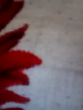 Megla879 online show from October 19, 3:14 pm