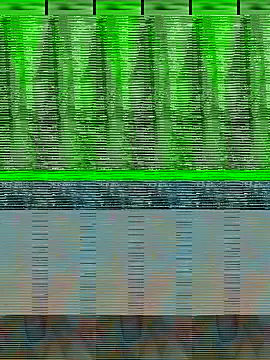 Rasiya 5 online show from November 5, 5:07 pm