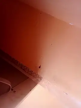 Abhilasha hot34 online show from January 10, 6:40 am