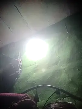 NEXIQRAN online show from November 23, 4:30 pm