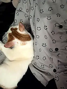 Emily-y online show from January 9, 12:53 pm