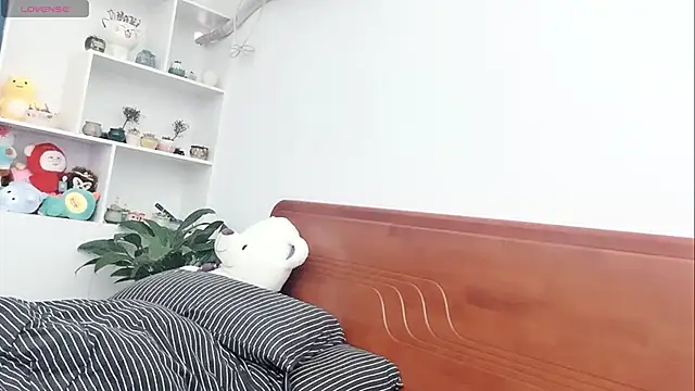 xiner-6666 online show from November 3, 7:56 am