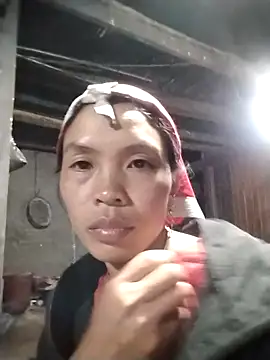 dinnavi online show from November 16, 12:05 pm