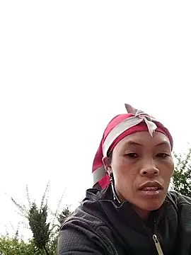 dinnavi online show from November 20, 1:17 am