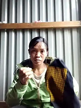 dinnavi online show from November 12, 9:18 am