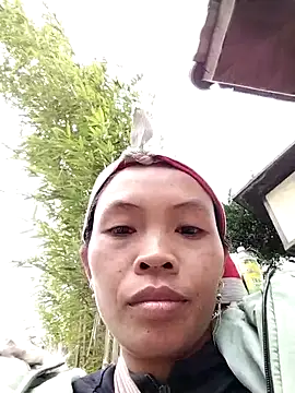 dinnavi online show from November 22, 5:21 am