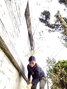 dinnavi online show from November 24, 9:00 am