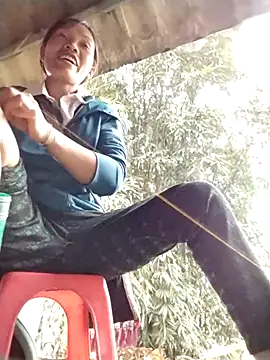 dinnavi online show from October 25, 8:22 am