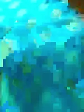 vedha4112telugu online show from April 18, 11:56 am