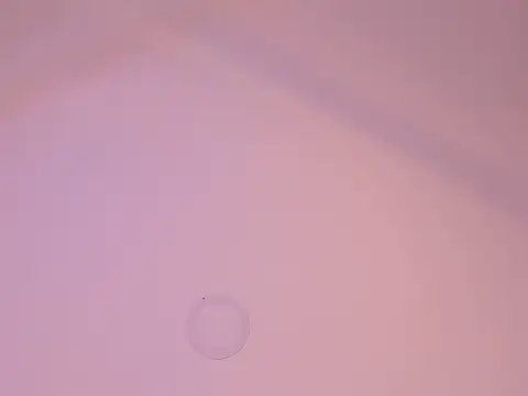 esmeraldaasm online show from November 19, 12:38 pm