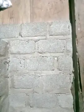 Noelle-e online show from April 12, 12:08 pm