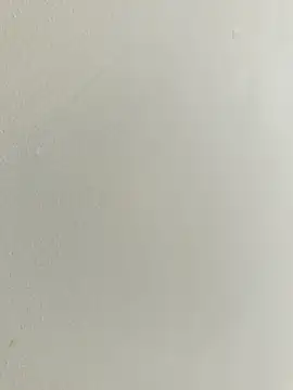 bigtelugubhama online show from November 24, 11:23 am