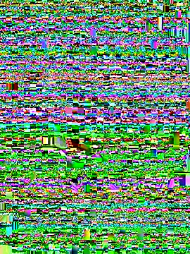 520ning online show from November 28, 10:07 am