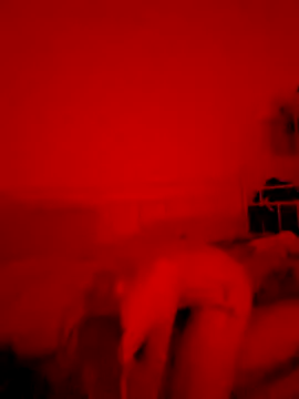 rebebia13 online show from November 10, 8:59 pm