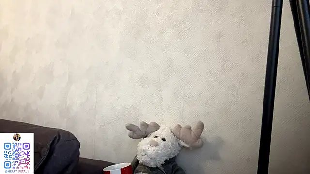 mona star online show from November 19, 12:05 pm