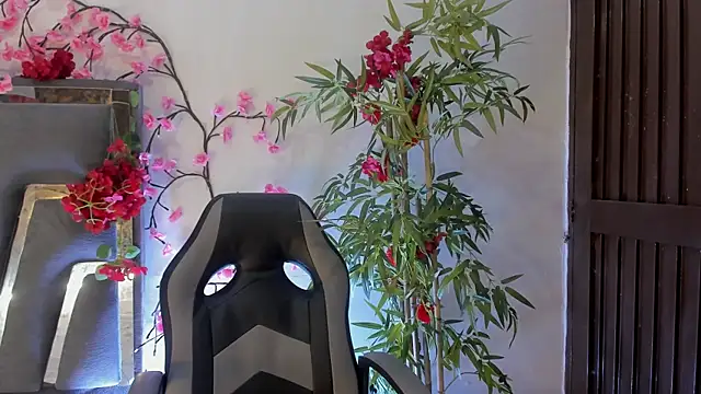 DanfneTorres online show from November 19, 7:36 pm