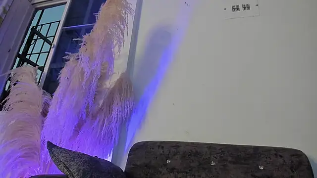 Camile Queen online show from November 21, 11:07 pm