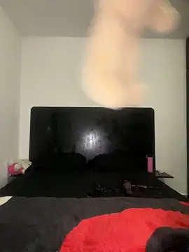 vanevip123 online show from November 18, 11:11 am