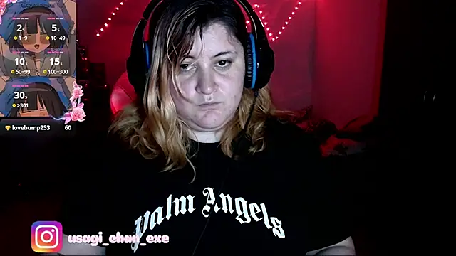 PixelAurora online show from November 27, 7:39 pm