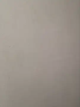 CandyCol online show from November 24, 11:56 am