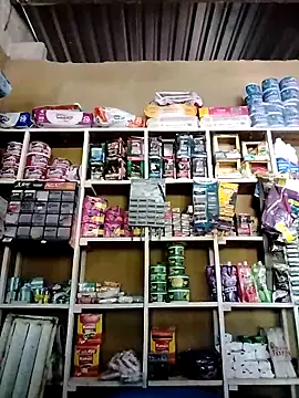 MIA-LARIOS online show from March 26, 10:00 pm