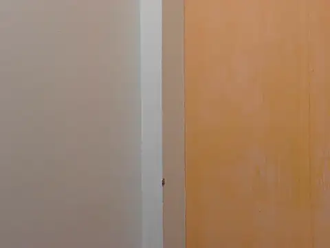 Honey Baby1 online show from December 2, 2:08 pm